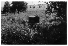 A wooden beehive