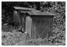 Wooden beehives