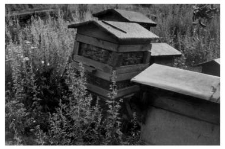 Bee skeps