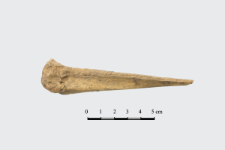 Bone awl [2D]