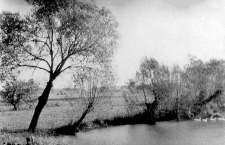 Fields