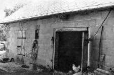 Cowshed