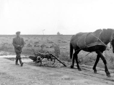Transportation
