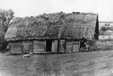 Cowshed