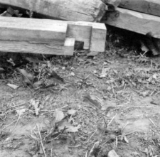 Log