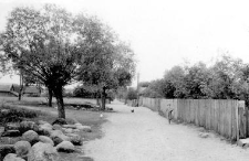 View of a village
