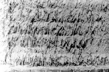 Wall