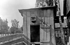 Chicken coop