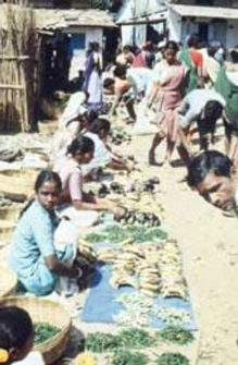 Warli