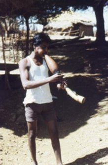 Warli