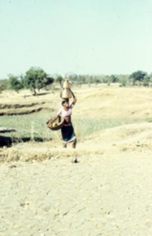 Warli