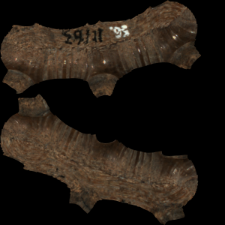 Przedmiot kościany [3D]