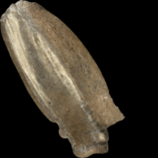 Okładzina (?) z poroża [3D]