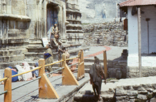 Kedarnath Temple (Iconographic Document)