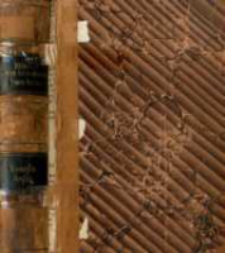 Bibliotheca rerum Germanicarum. T. 4, Monumenta Carolina