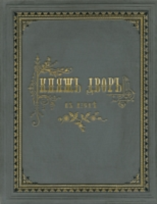 Raskopki velikokn&acirc;zeskago dvora drevn&acirc;go grada Kieva proizvedenny&acirc; vesnou 1892 goda : arheologičeski-istoričeskoe izsledovanie