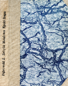 Zabytki metalowe epoki brązu między dolną Wisłą a Niemnem