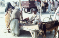 Brahmin (panda) during Kumbha Mela (Iconographic document)