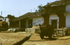 Zabudowania i domy w miasteczku Nathdvara (Dokument ikonograficzny)