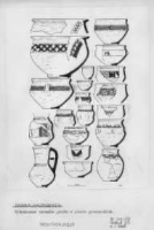 Igołomia, Igołomia-Wawrzeńczyce commune, Krak&oacute;w county, małopolskie voidship