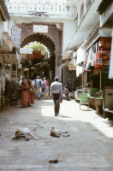 Ulica w miasteczku, Radżastan (Dokument ikonograficzny)