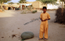 Portret chłopca w tradycyjnym stroju (Dokument ikonograficzny)