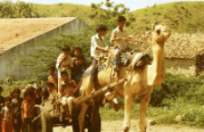 The cart pulled by a camel (Iconographic document)
