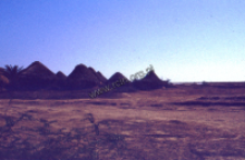 The traditional village ofkachchi rabari (Iconographic document)