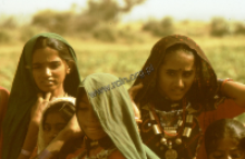 Portrait of children, kachchi rabari (Iconographic document)