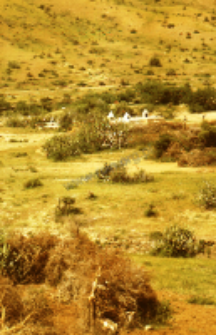 The shrines of shepherds kachchi rabari (Iconographic document)
