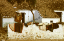 House of kachchi rabari (Iconographic document)