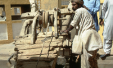 Irrigation with water, Sindh, Pakistan (Iconographic document)