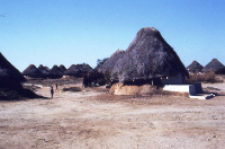 Traditional village of kachchi rabari (Iconographic document)