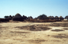 Traditional village of kachchi rabari (Iconographic document)