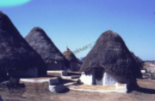 Traditional village of kachchi rabari (Iconographic document)