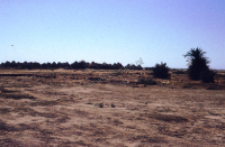 Traditional village of kachchi rabari (Iconographic document)