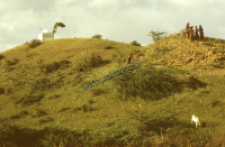 Village Shrine, kachchi rabari (Iconographic document)