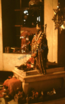 Goddess Kali in New Delhi (Iconographic document)