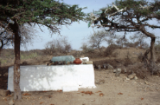 Grobowiec (grób) w Chakar (Dokument ikonograficzny)