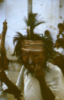 Gauri Dance, Bhils (Iconographic document)