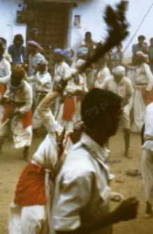 Gauri Dance, Bhils (Iconographic document)