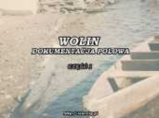 Wolin