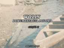 Wolin