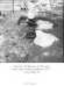 Szczecin ‒ Podzamcze, ul. Pływacka : badania archeologiczne [2]