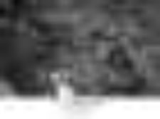 Szczecin, Rynek Warzywny : rodzajowe