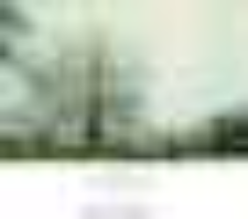 Szczecin : rodzajowe