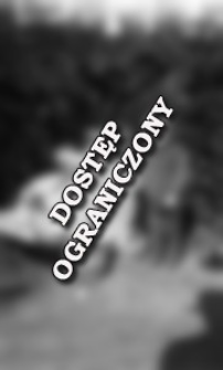 [Two children in the garden] [An iconographic document]