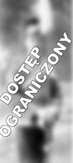 [A portrait of a uhlan] [An iconographic document]