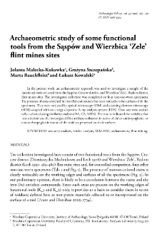 Archaeometric study of some functional tools from the Sąspów and Wierzbica ‘Zele’ flint mines sites