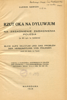 Rzut oka na dyluwjum i na zagadnienie zabagnienia Polesia